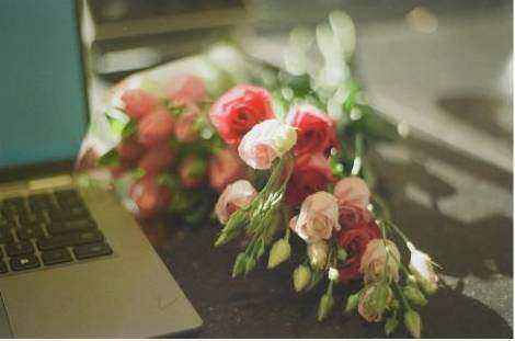 Calvirexo floral background