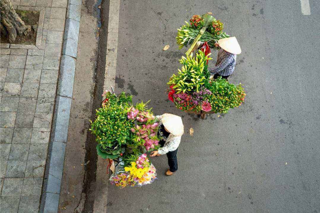 Sustainably sourced blooms