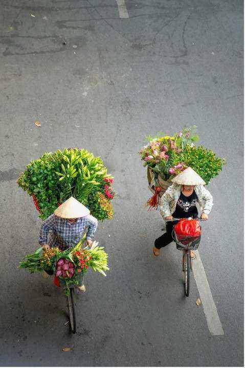 A vibrant spread of birthday roses