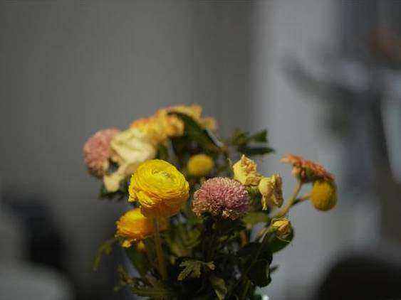 Native bouquet 4